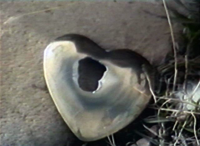 Spearhead (1980)